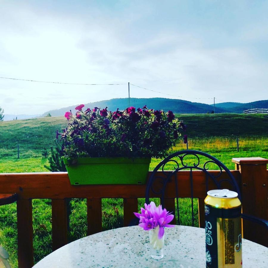 Planinska Kuca Villa Zabljak  Luaran gambar